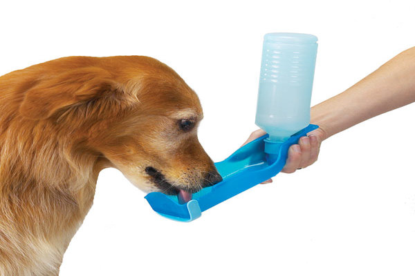 Crazy Pet Products For Your Pet 1