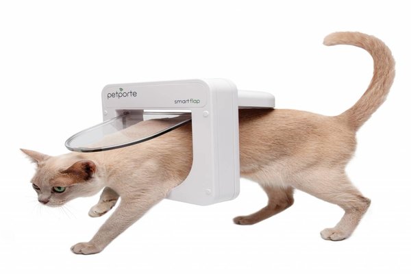 Crazy Pet Products For Your Pet 5